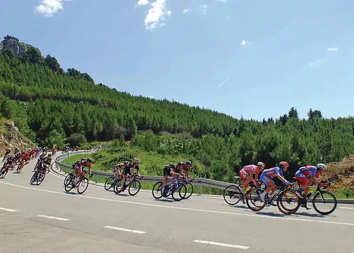 Zagrebacka * Makarska